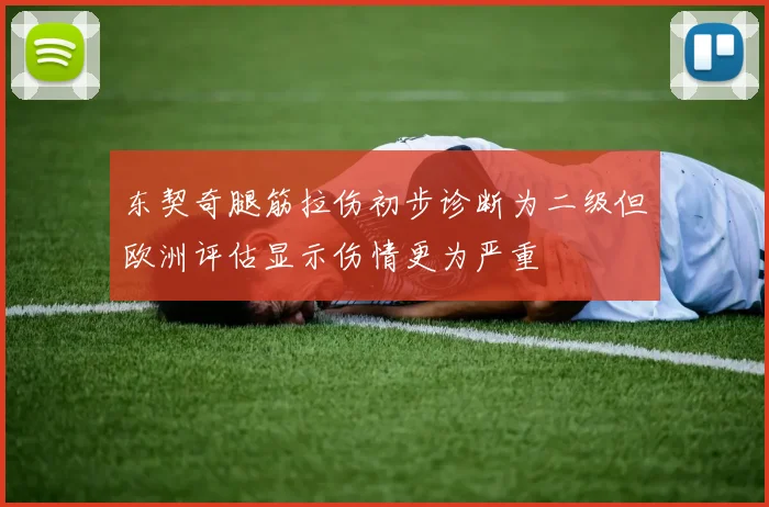 东契奇腿筋拉伤初步诊断为二级但欧洲评估显示伤情更为严重