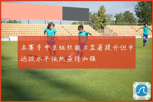 本赛季申京组织能力显著提升但中远投水平依然亟待加强